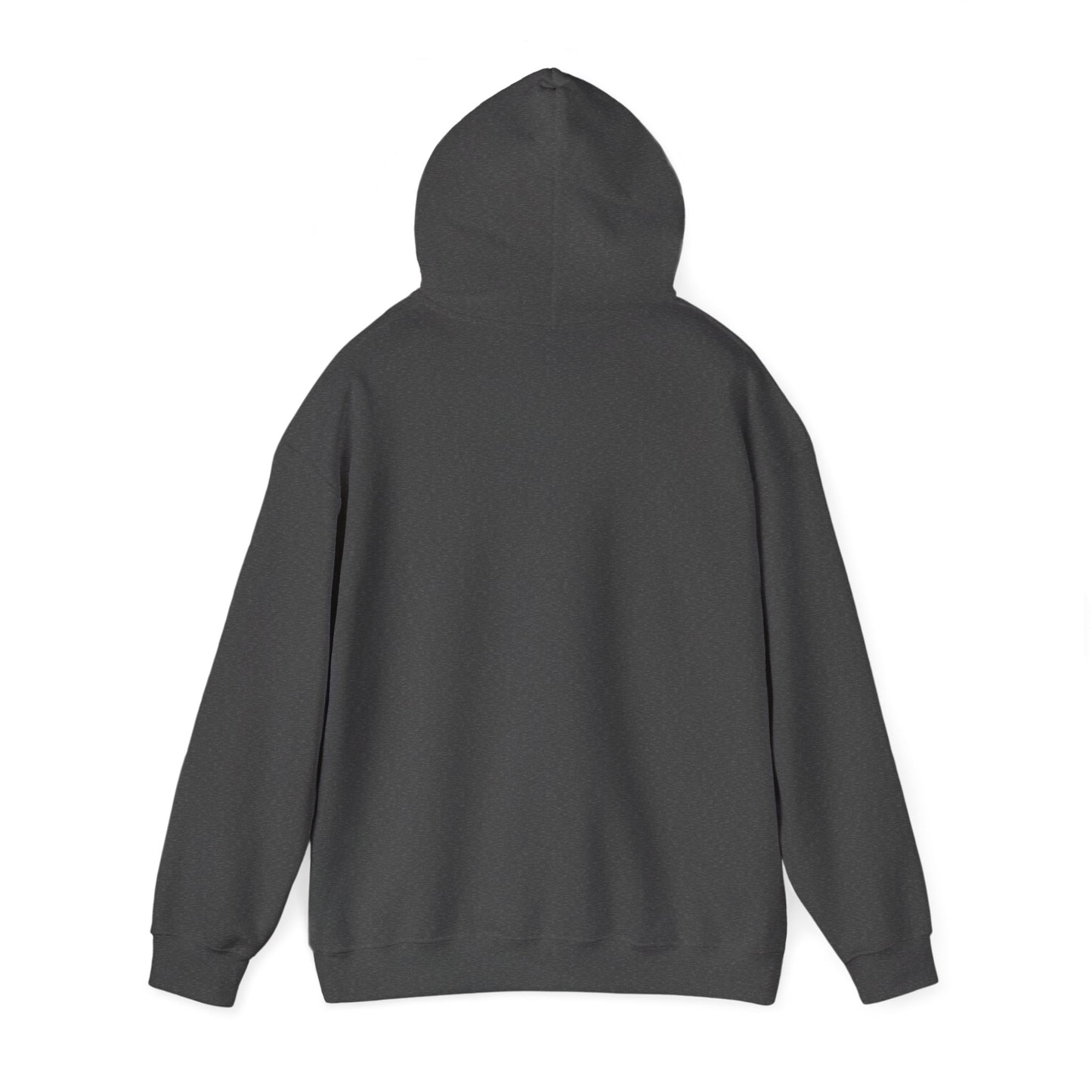 Le sweat à capuche unisexe Les solistes