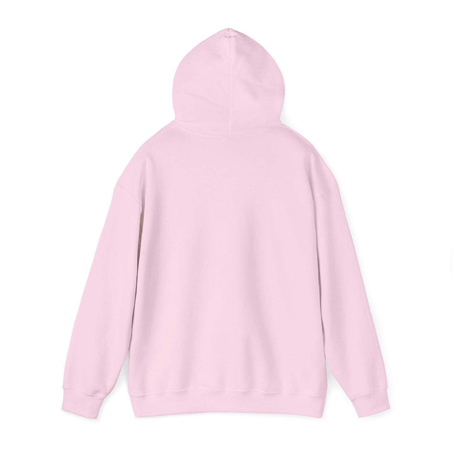 Le sweat à capuche unisexe AE