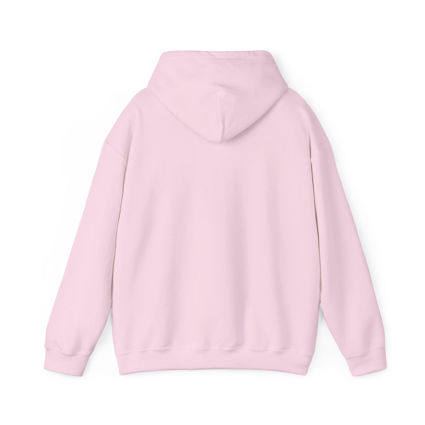 Le sweat à capuche unisexe AE