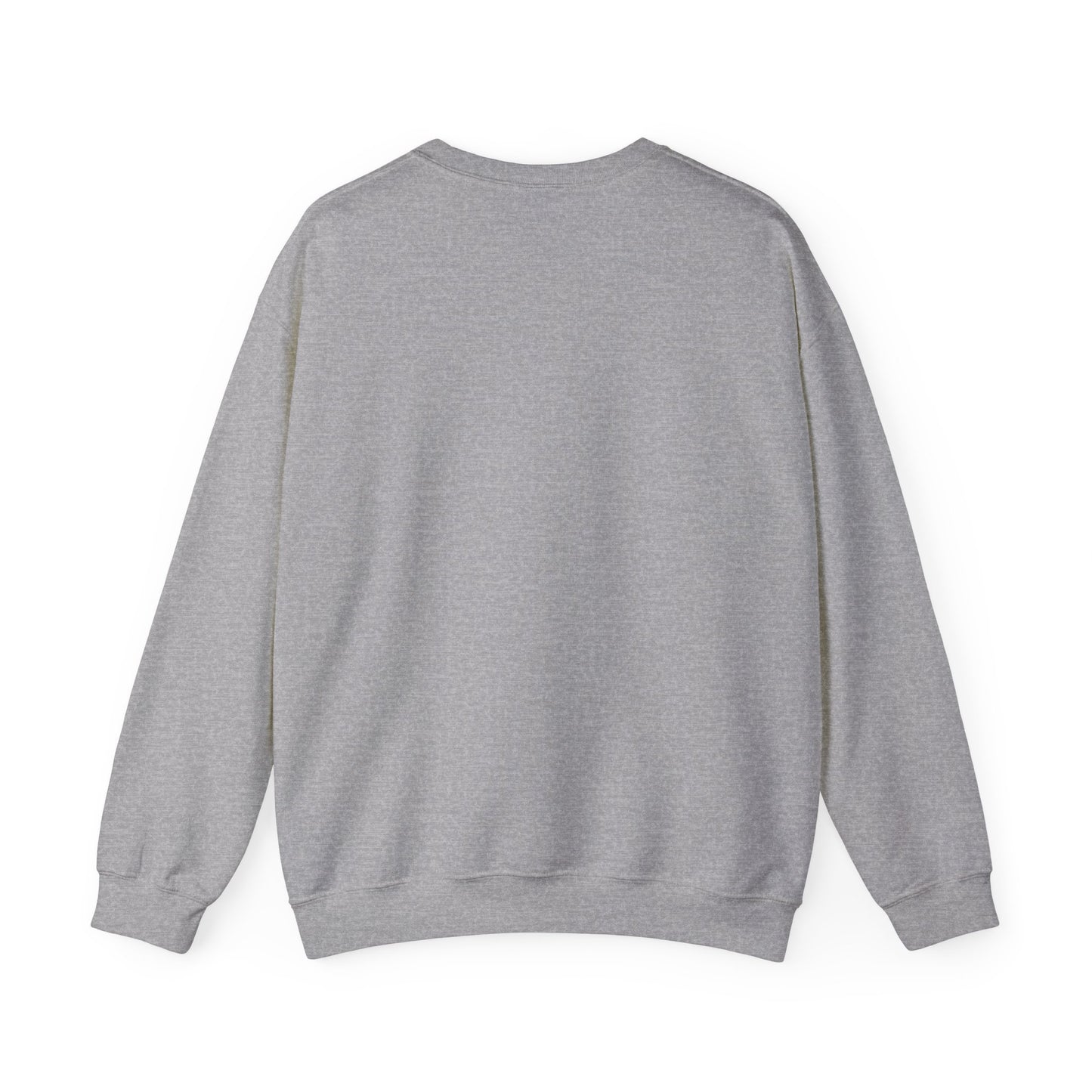 Sweatshirt AE